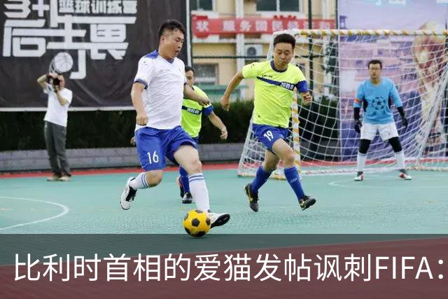 比利时首相的爱猫发帖讽刺FIFA：“红牌？”我照样继续踢！