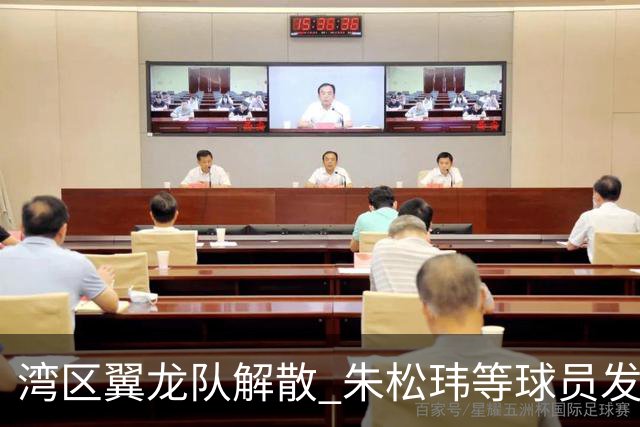 湾区翼龙队解散 朱松玮等球员发布声明维权